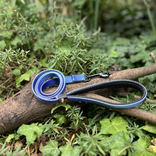 Laisse reflex Martin sellier