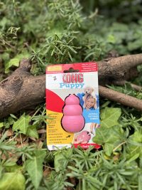 Kong puppy S