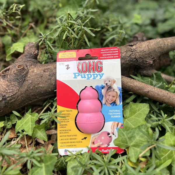 Kong puppy S