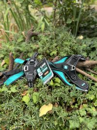 Harnais traction Cani Gear +35kg
