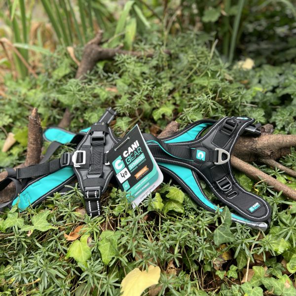 Harnais traction Cani Gear +35kg