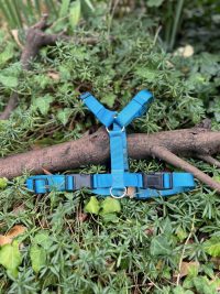 Harnais H bleu ML
