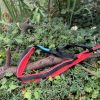 Harnais traction 22 - 25kg