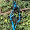 Harnais traction 34 - 38kg