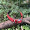 Collier rouge 41-50cm