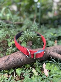 Collier rouge 41-50cm