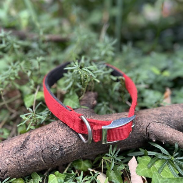 Collier rouge 41-50cm