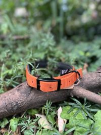 Collier orange 44-52cm