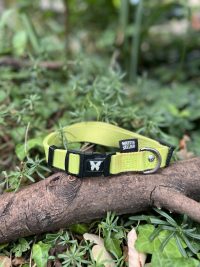 Collier jaune 41-60cm