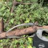 Flexi Giant XL 8m