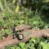 Collier tissu militaire 43-72cm