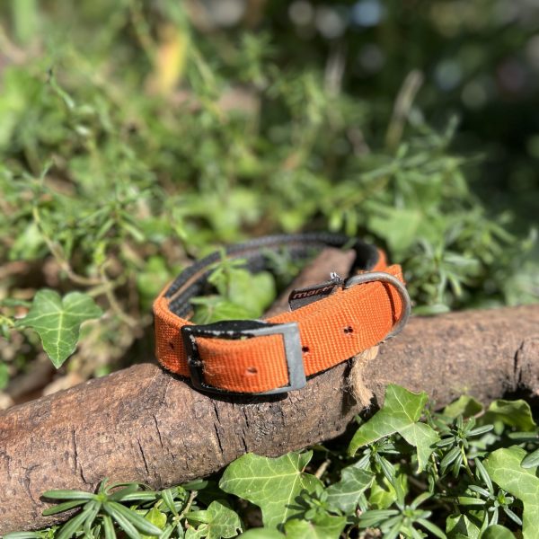 Collier orange 36-45cm