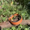 Collier orange 36-45cm
