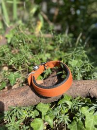 Collier orange 36-45cm