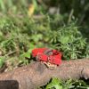 Collier tissu rouge 22-28cm