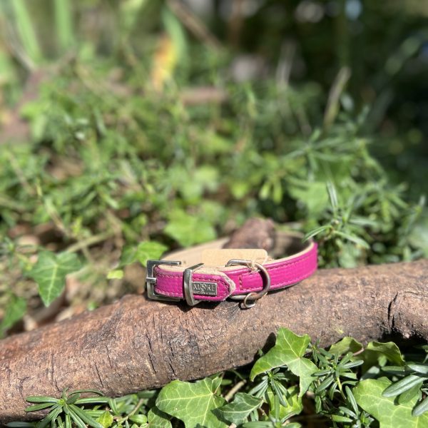 Collier cuir fuchsia 27-33cm
