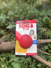 Balle KONG M/L