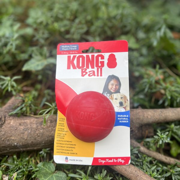 Balle KONG M/L
