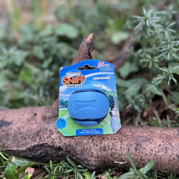 balle chuckit sniff fetch ball