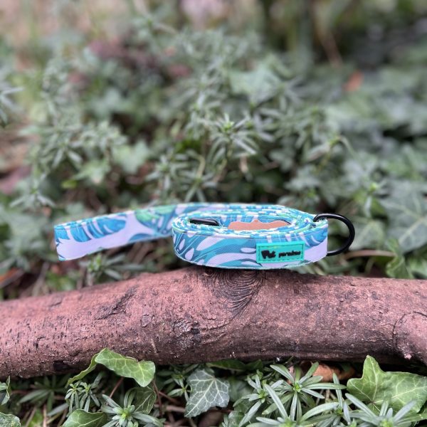 img_5479 Laisse feuille