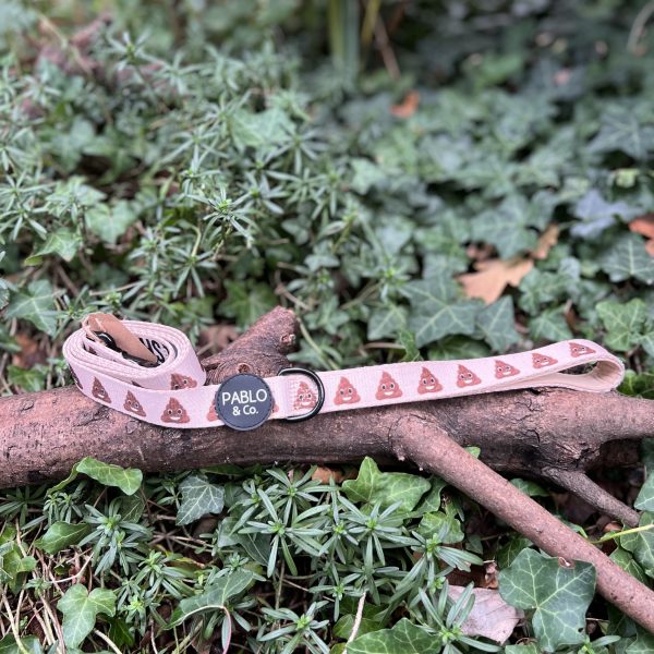 img_5480-2 Laisse caca