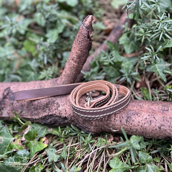 img_5484 Laisse marron