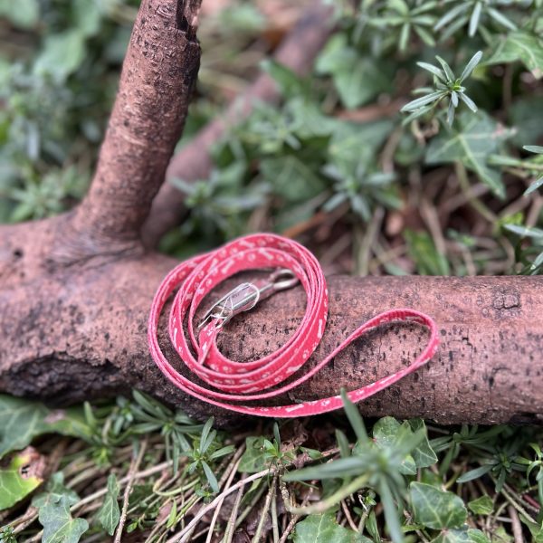 img_5486-2 Petite laisse rouge