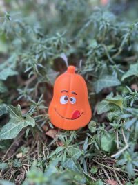 jouet citrouille orange