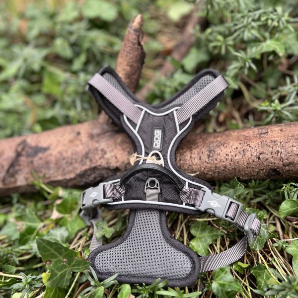 Harnais dog copenhagen XS