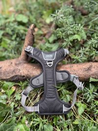 Harnais dog copenhagen XS