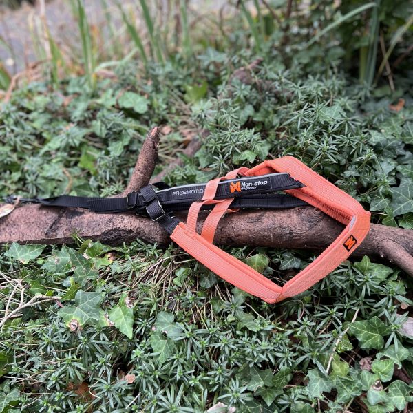 Harnais traction Non stop T3