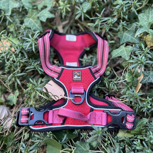 Harnais dogs creek M