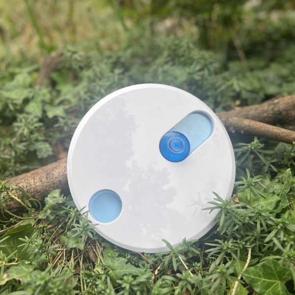 Jeu d'intelligence rond