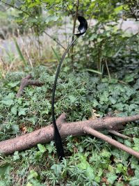 lanceur de balle noir