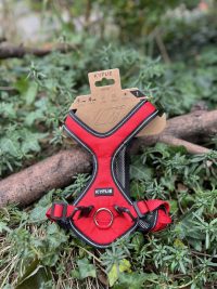 Harnais Otium Kyflie T1