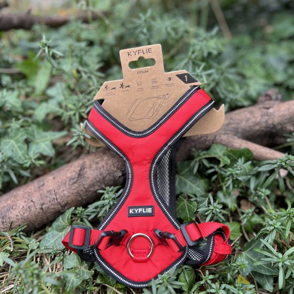 Harnais Otium Kyflie T1