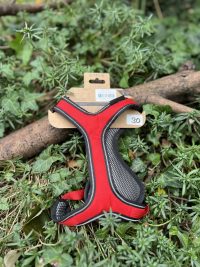 Harnais Otium Kyflie T1