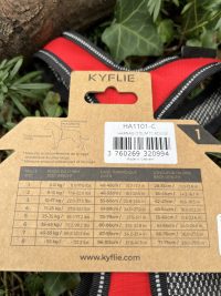 Harnais Otium Kyflie T1