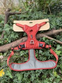 Kyflie Momentum rouille XL