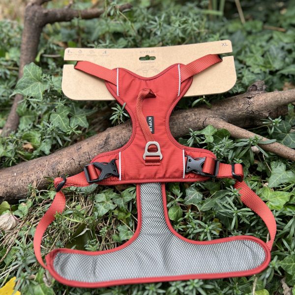 Kyflie Momentum rouille XL