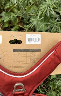 Kyflie Momentum rouille XL