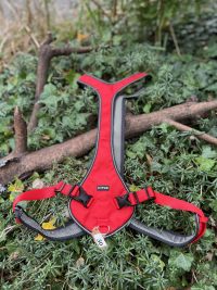 Harnais Otium Kyflie T8