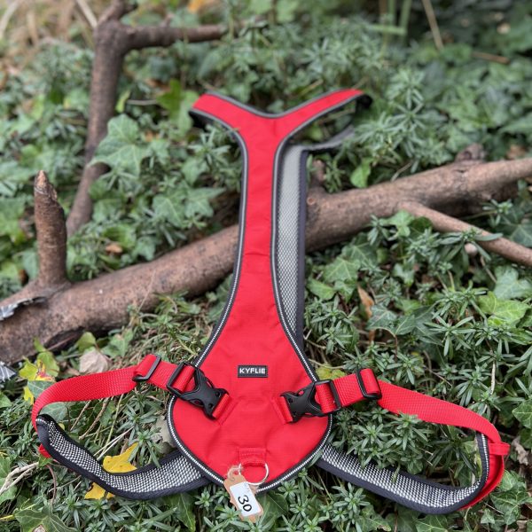 Harnais Otium Kyflie T8