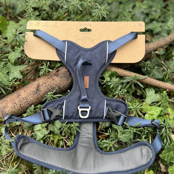 Kyflie Momentum Bleu XL