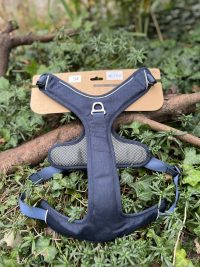 img_6131 Kyflie Momentum Bleu XL