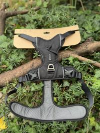 Kyflie Momentum noir XL