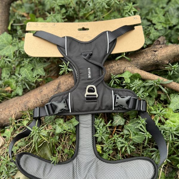 Kyflie Momentum noir XL