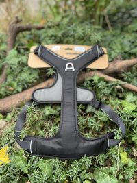 Kyflie Momentum noir XL