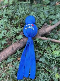 img_6153 Kong wubba bleu