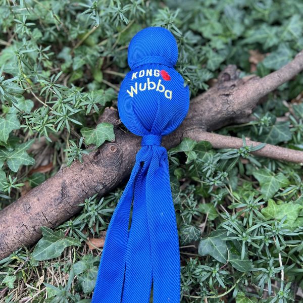 img_6153 Kong wubba bleu
